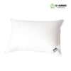 Cotton Down Proof Pillow Hard Pillow
